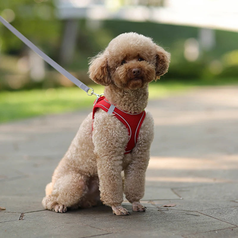 Peitoral Ajustável Com Guia Para Pets